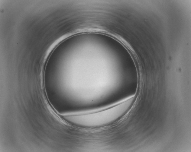 X0000080731246200612150855