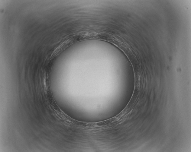 X0000080731250200612150854