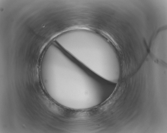 X0000080731268200612150854