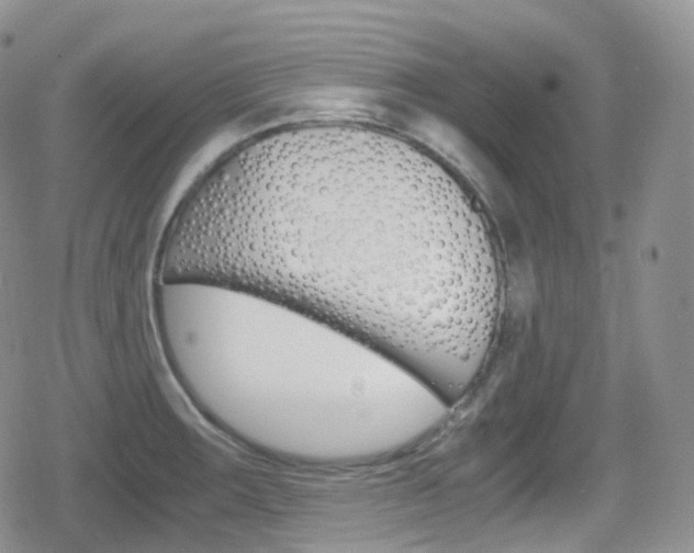 X0000080731283200612150854