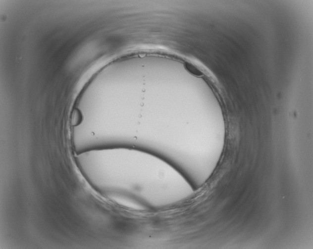 X0000080731287200612150854