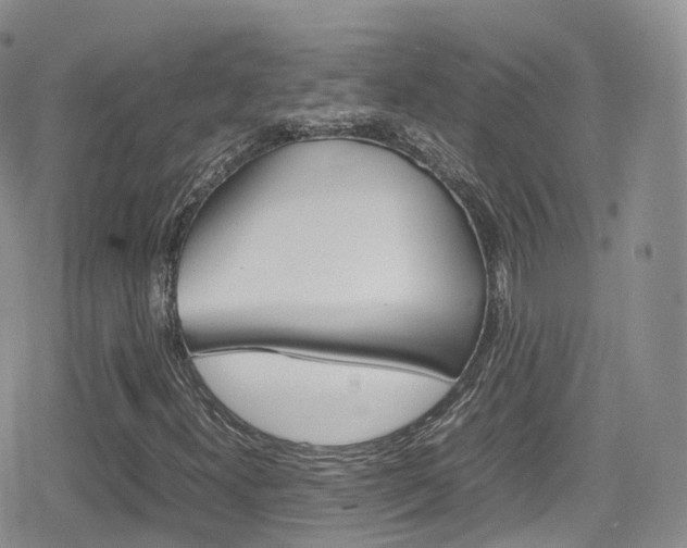X0000080731300200612150853