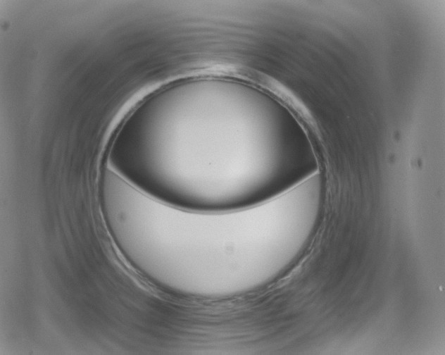 X0000080731332200612150853