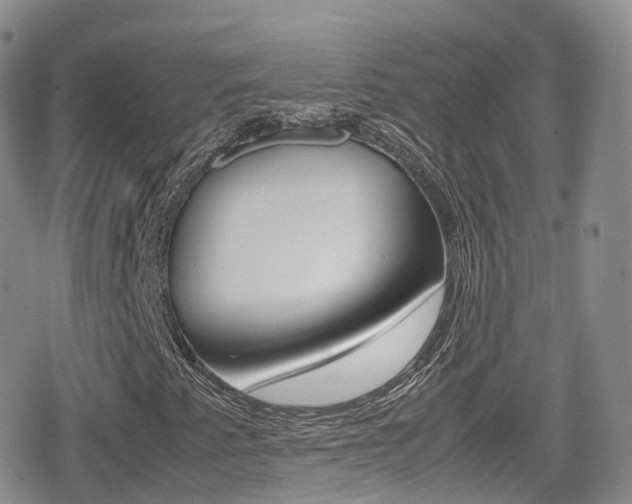 X0000080731345200612150853