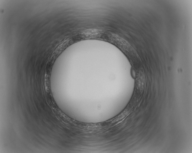 X0000080731346200612150853