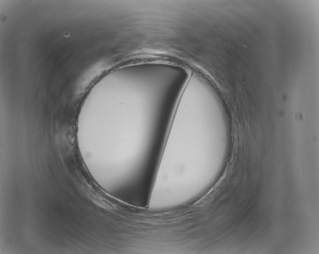 X0000080731355200612150853