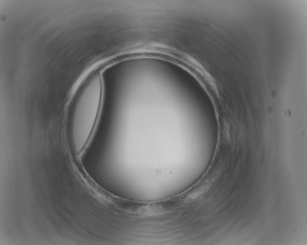 X0000080731368200612150853