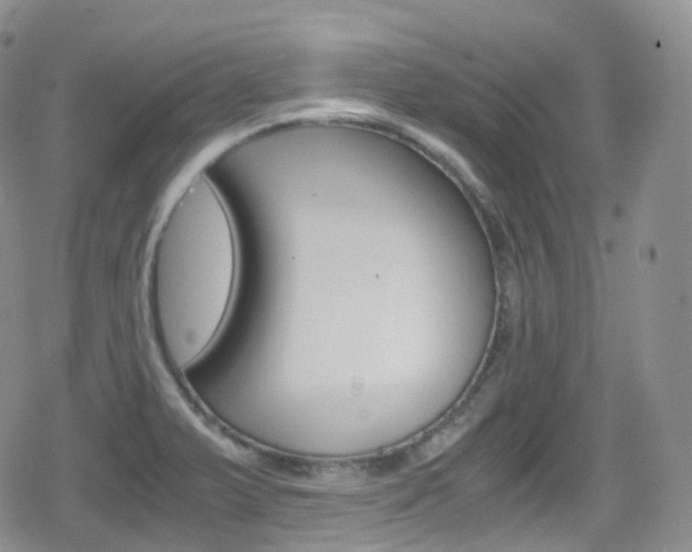 X0000080731375200612150852