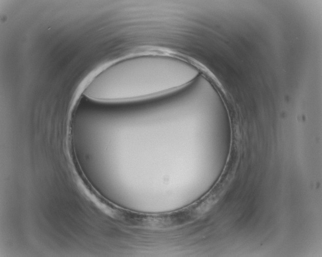 X0000080731379200612150852