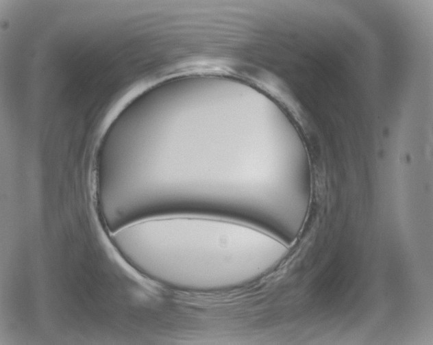 X0000080731383200612150852