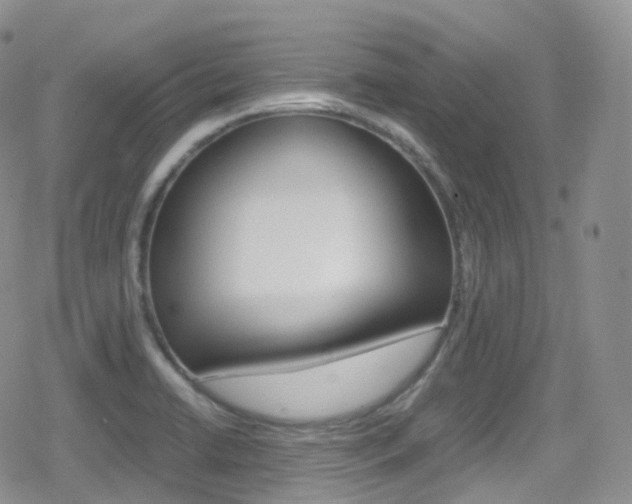 X0000080731422200612150852