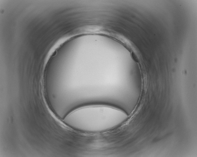 X0000080731432200612150852