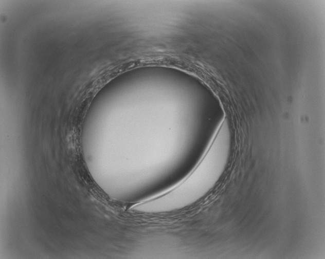 X0000080731445200612150851