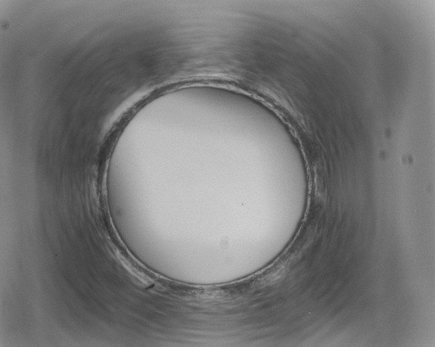 X0000080731452200612150851