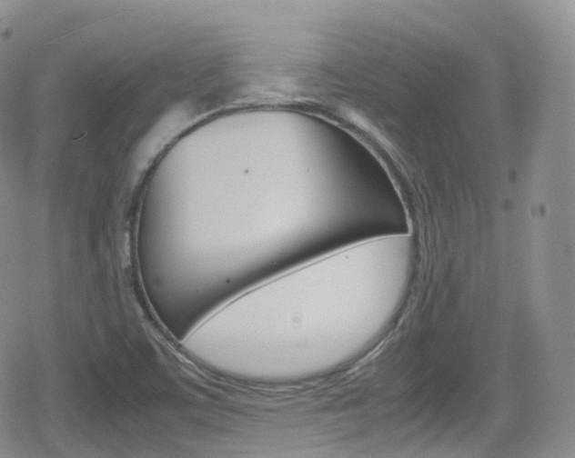 X0000080731459200612150851