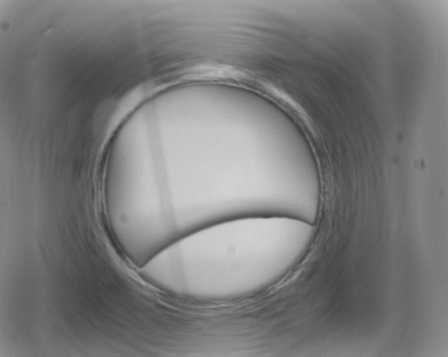 X0000080731467200612150851