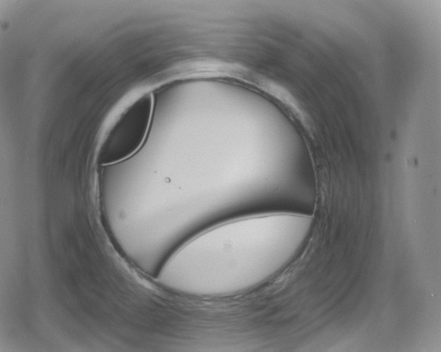 X0000080731472200612150851