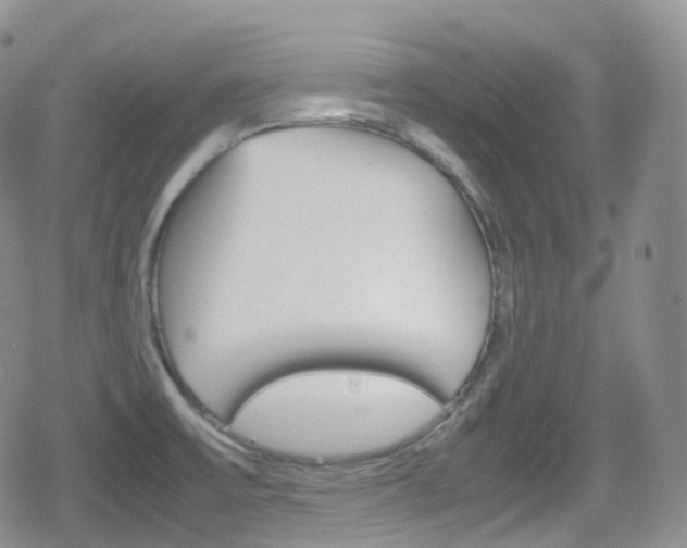 X0000080731475200612150851