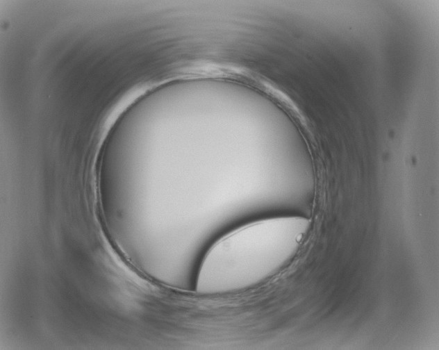 X0000080731479200612150851