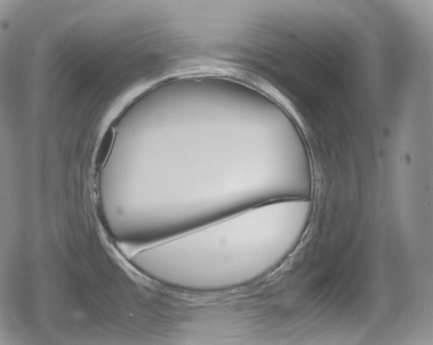 X0000080731485200612150851