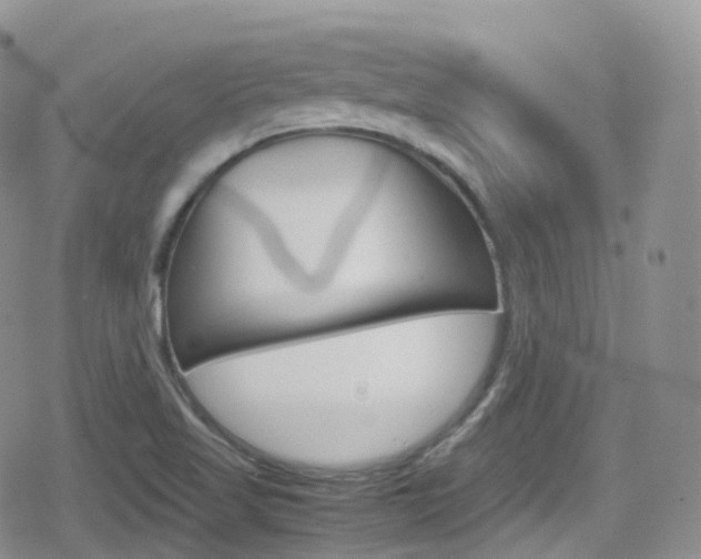 X0000080731509200612150850