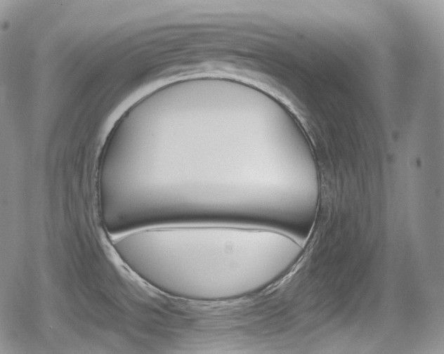 X0000080731534200612150851