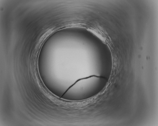 X0000080730001200612151236