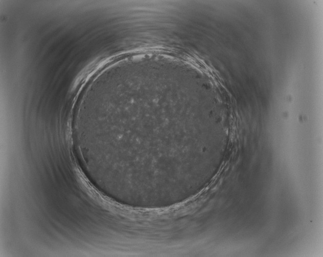 X0000080730002200612151236