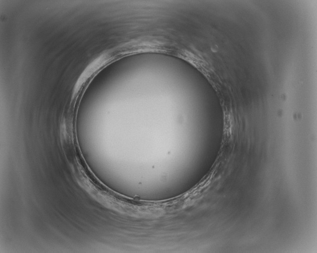 X0000080730004200612151236