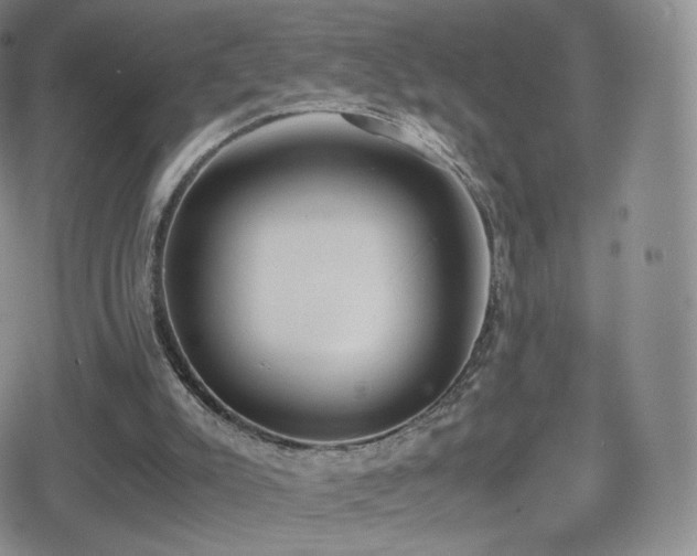 X0000080730007200612151236