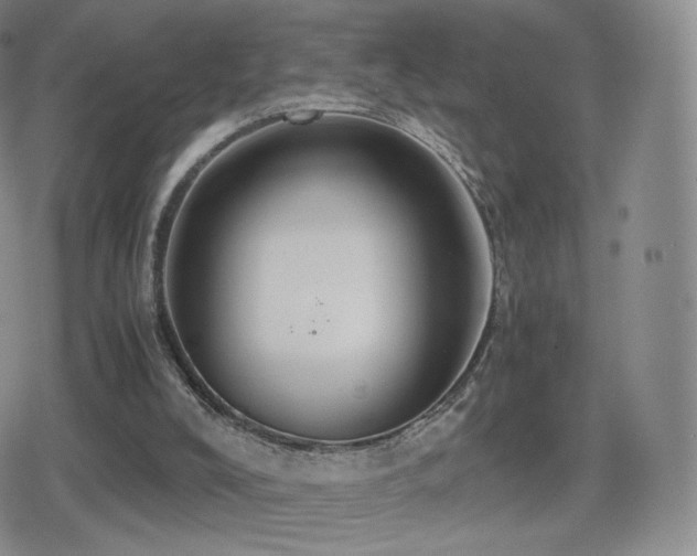 X0000080730008200612151236