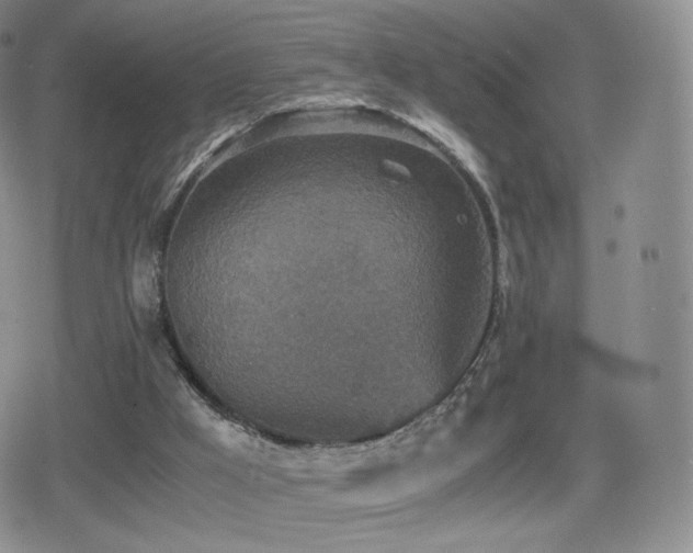 X0000080730009200612151236