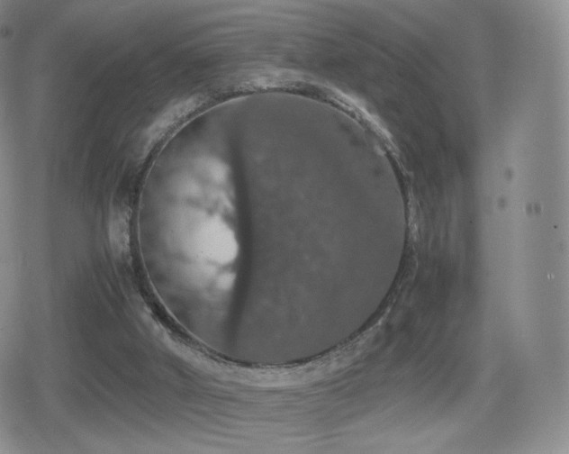 X0000080730010200612151236