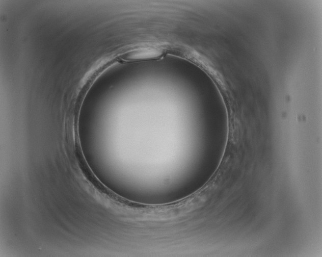 X0000080730011200612151236