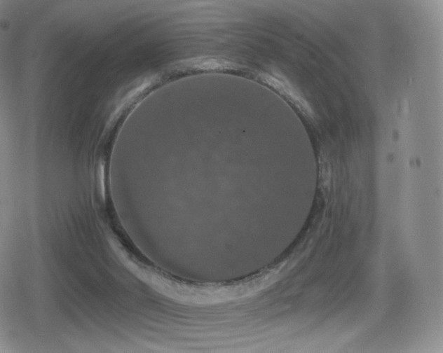 X0000080730014200612151236