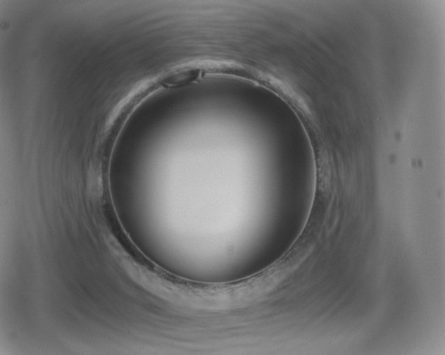 X0000080730015200612151236