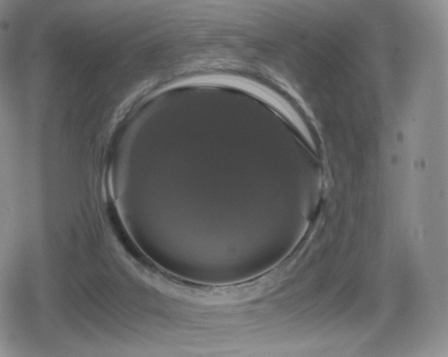 X0000080730019200612151236