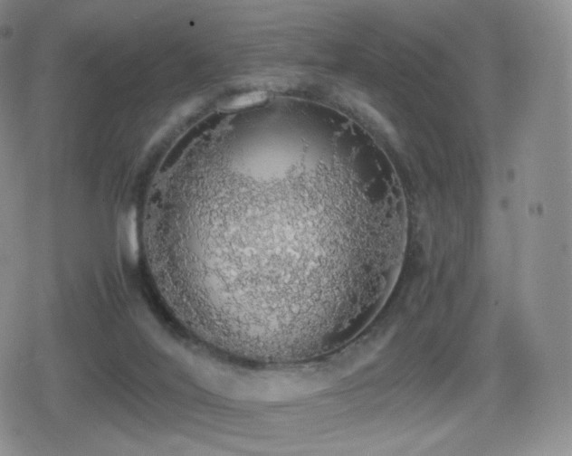 X0000080730020200612151235