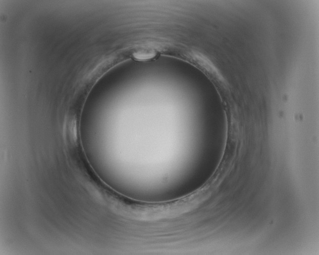 X0000080730021200612151235