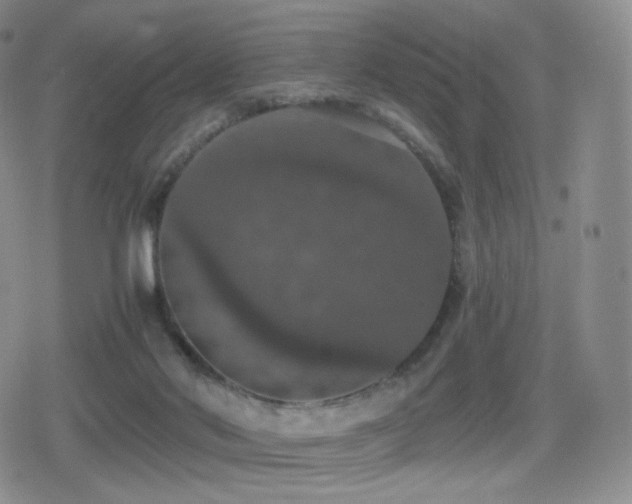 X0000080730022200612151235