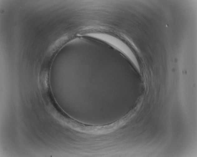 X0000080730023200612151235