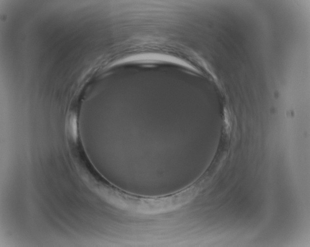 X0000080730027200612151235