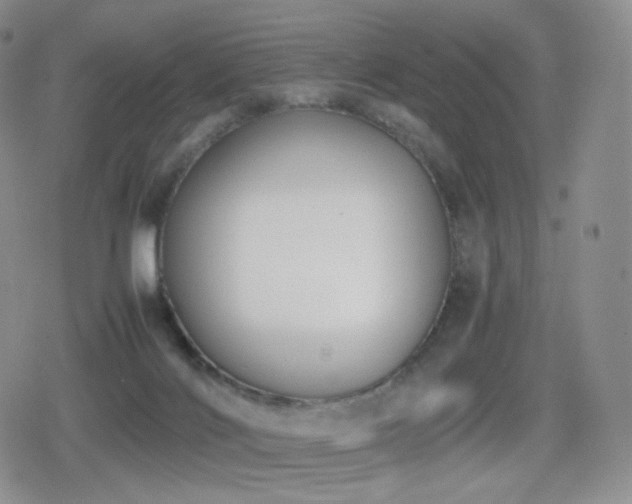 X0000080730028200612151235