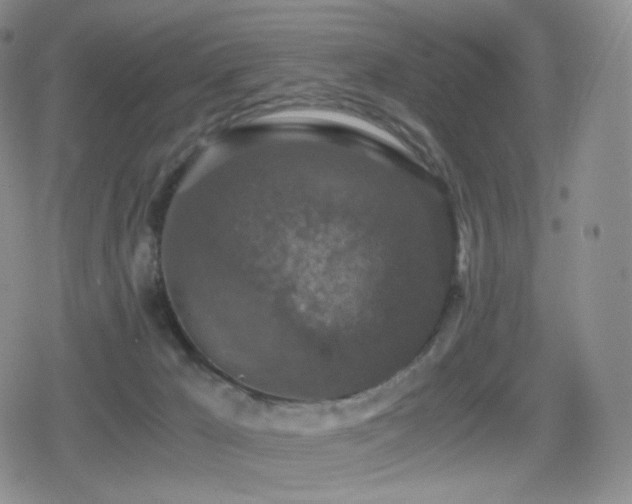 X0000080730029200612151235