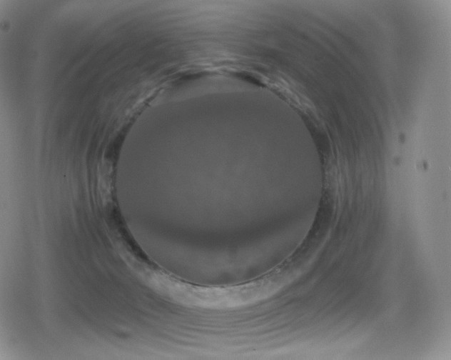 X0000080730030200612151235