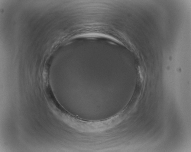 X0000080730031200612151235