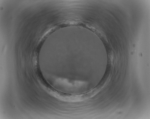 X0000080730032200612151235