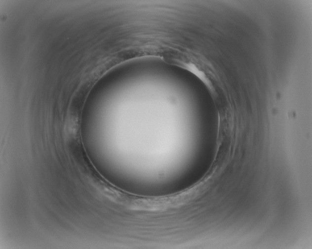 X0000080730033200612151235