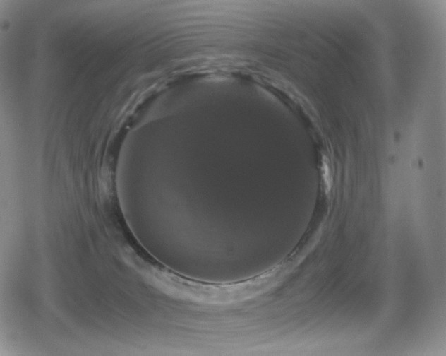 X0000080730035200612151235