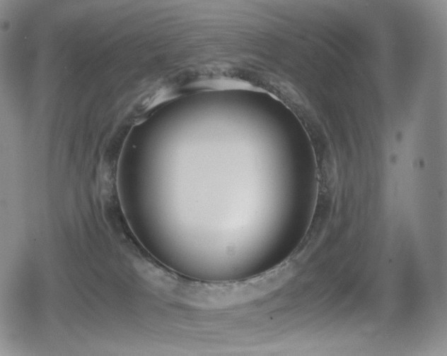 X0000080730037200612151235